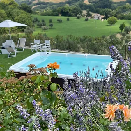 Appartement Le Cune, La Terrazza - Ac, Pool & Jacuzzi Palazzo (Ancona)